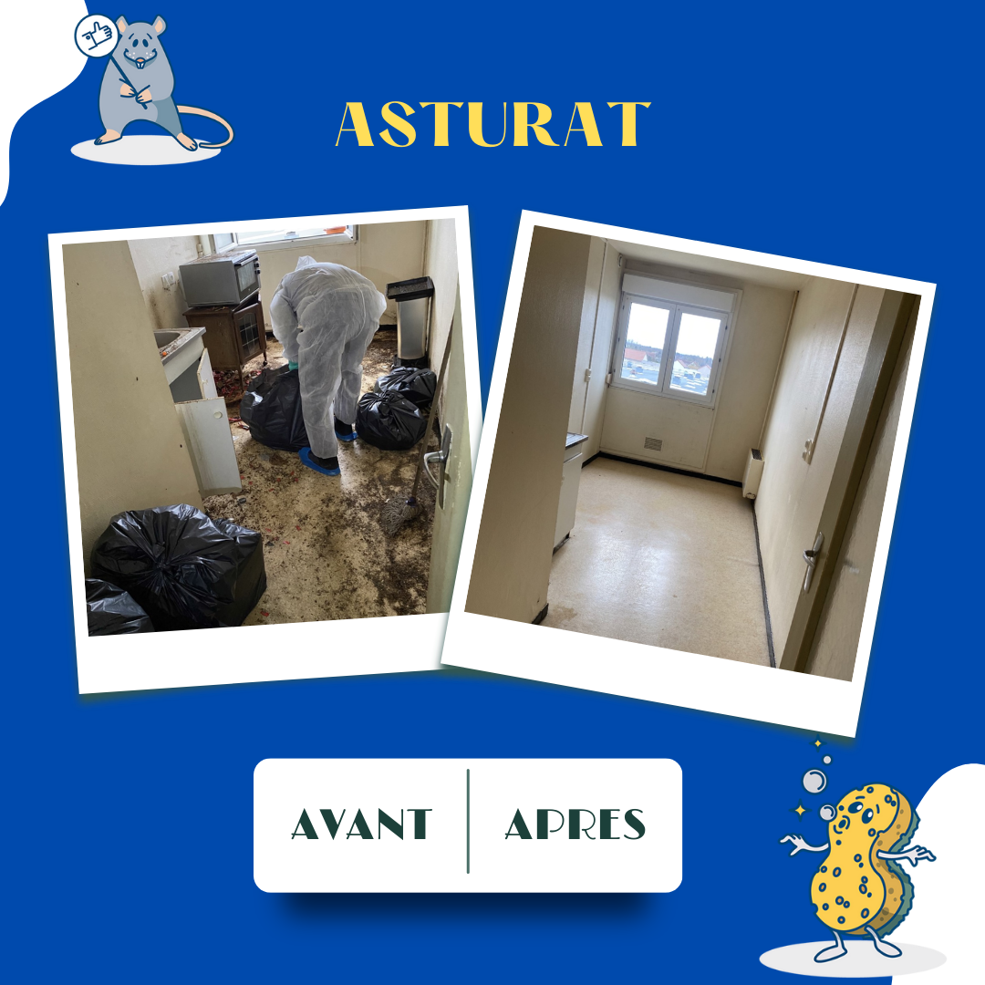 Avant-après nettoyage d’un appartement insalubre par Asturat à Troyes